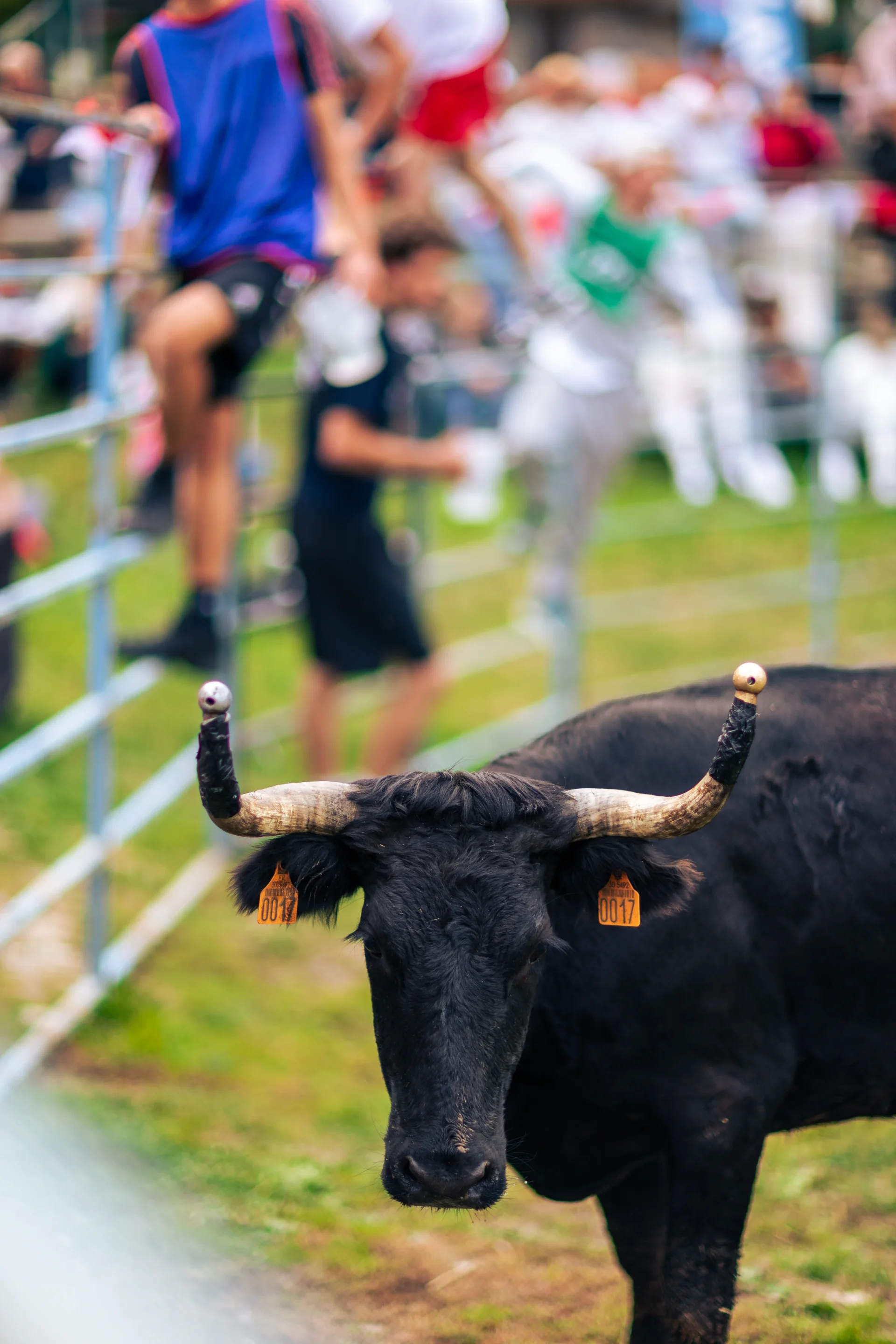 Lu'Oktoberfest — photo 15
